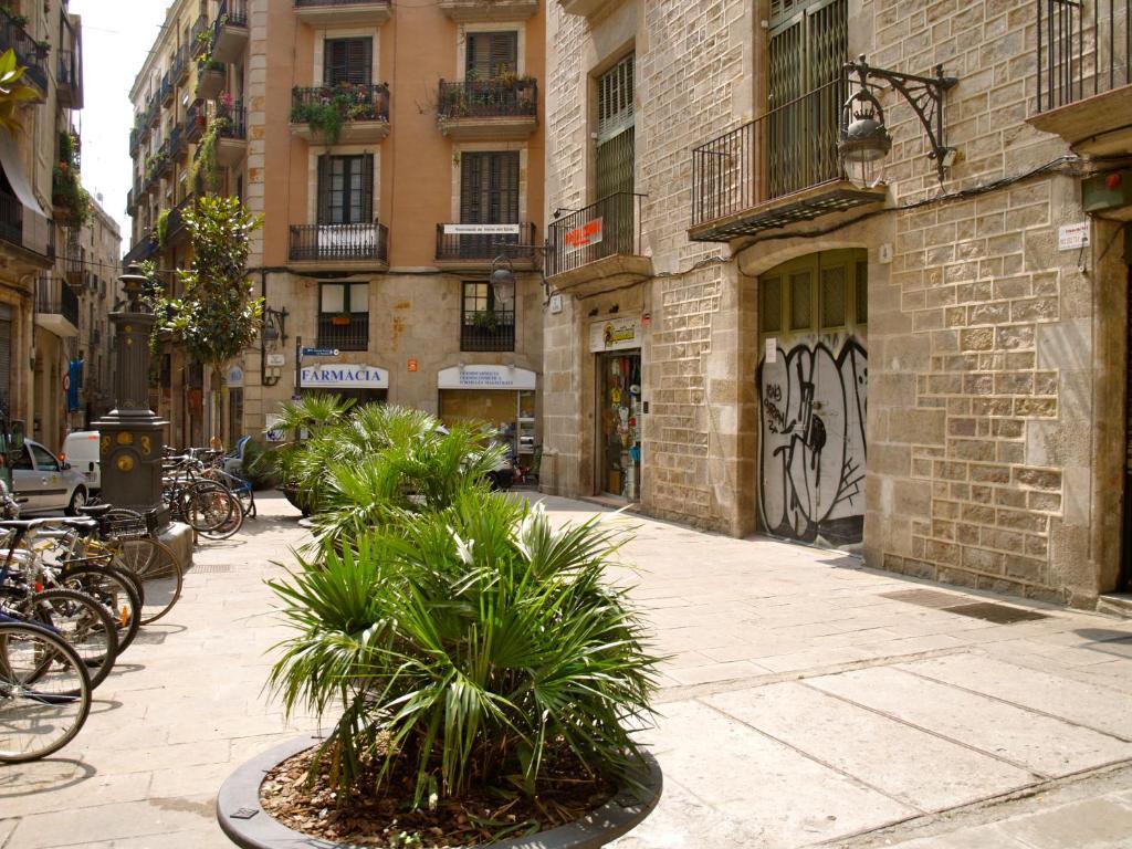 Hostal Nitzs Bcn — Photos 1